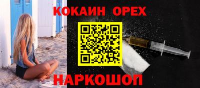 гидра Будённовск