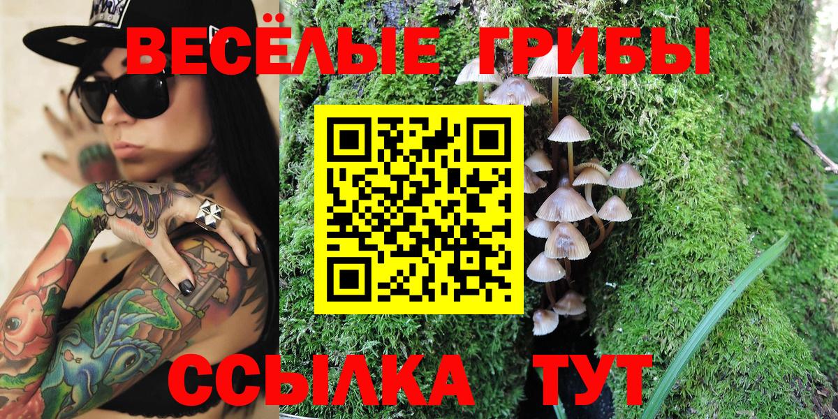Псилоцибиновые грибы MAGIC MUSHROOMS Кумертау