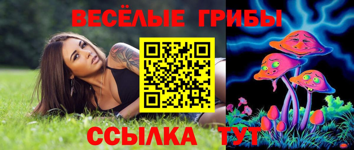 Псилоцибиновые грибы Cubensis  Вход с VPN  Кумертау  Псилоцибиновые грибы мухоморы 